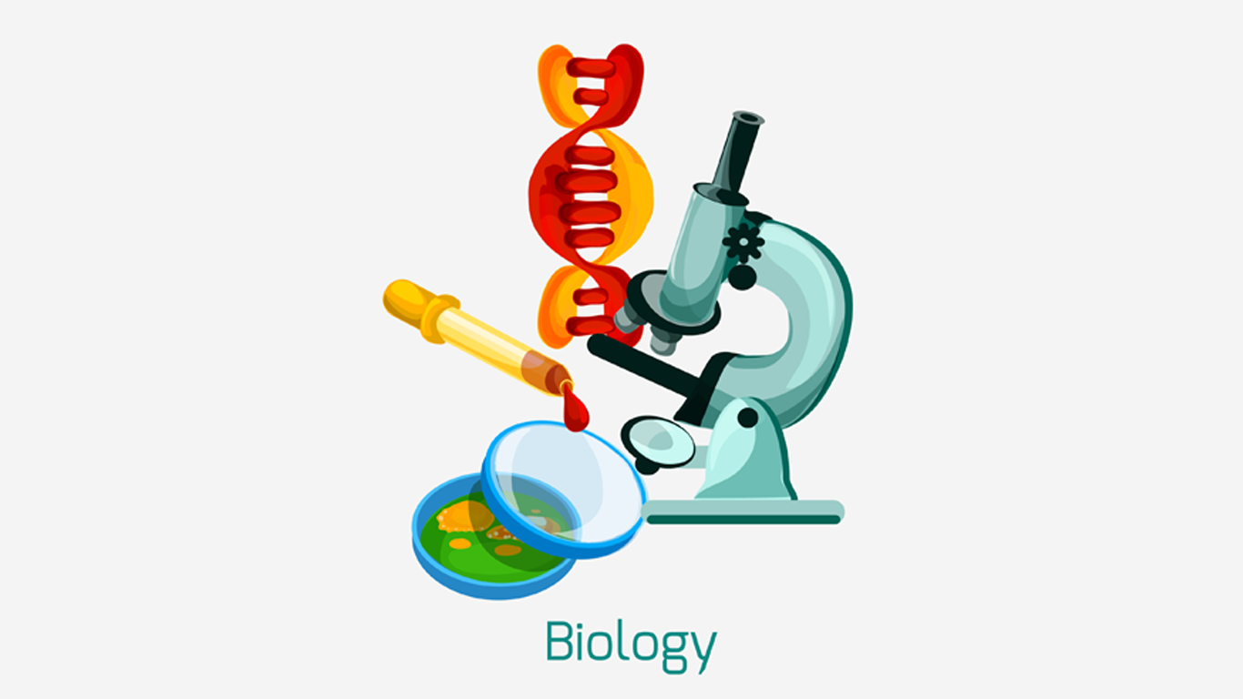 Class 11 - Biology